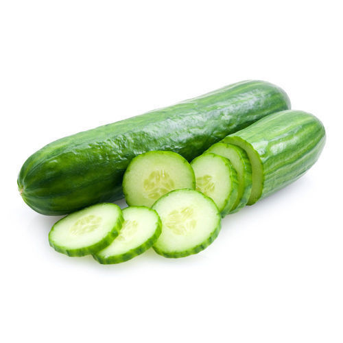 Iron Healthy And Natural Organic Green Fresh Cucumber