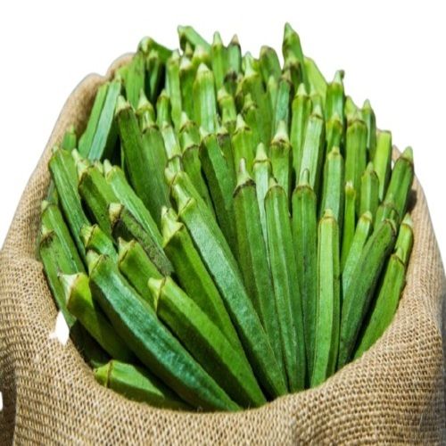 Blue Healthy And Natural Organic Green Fresh Okra