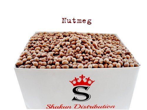 Brown Nutmeg Seeds For Spices 10Kg