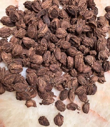 Pod Pan Grade Black Cardamom