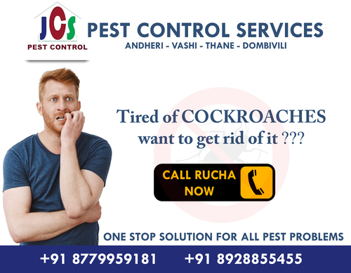 Pest Control Services Provider By Just Click Services