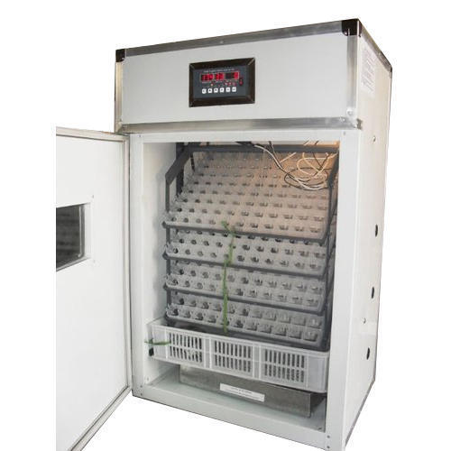 300 Poultry Capacity Eggs Incubator