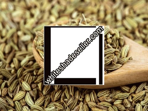 Green Fennel Seeds (Saunf)