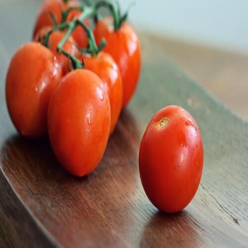 Round Healthy And Natural Fresh Organic Red Tomato