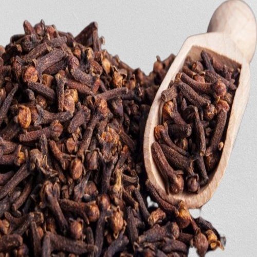 Healthy and Natural Organic Brown Dried Cloves