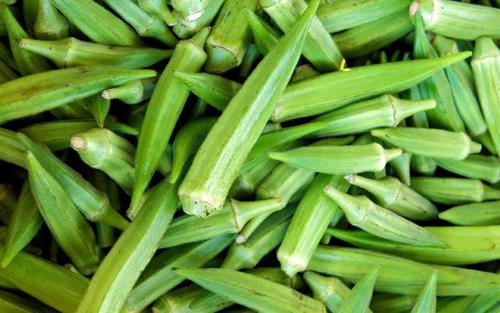 Healthy And Natural Organic Green Fresh Okra Shelf Life: 1 Months