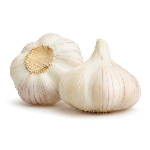 Highly Natural And Fresh Garlic