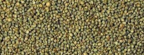 100% Organic Bajra Seeds