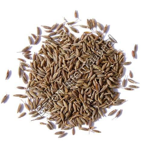Brown Cumin Seeds for Cooking