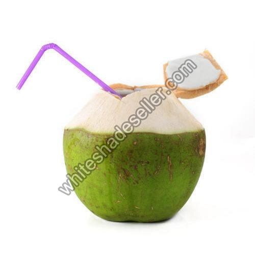 Fresh Tender Coconut 