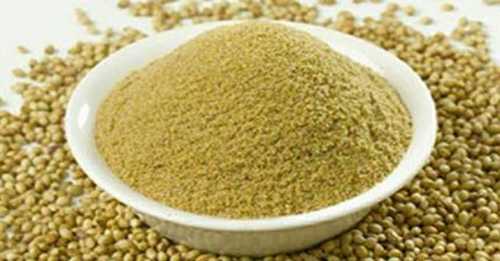 Green Natural Taste Coriander Seeds