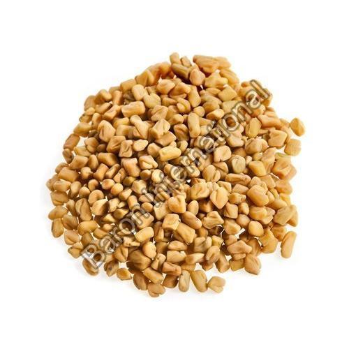 Yellow Fenugreek Seeds for Cooking