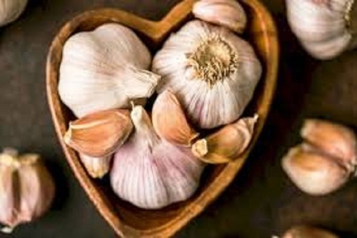 एग्रीफाउंड व्हाइट G-41 लहसुन की नमी (%): 42.78%