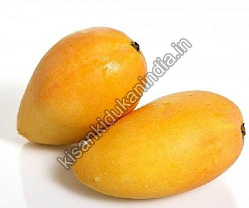 Delicious Fresh Mango