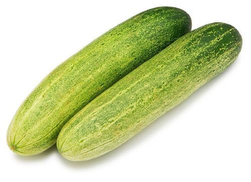 Healthy and Natural Organic Green Fresh Cucumber