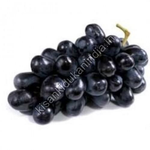 Organic Natural Fresh Black Grapes