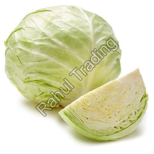 Natural Fresh Cabbage for Cooking