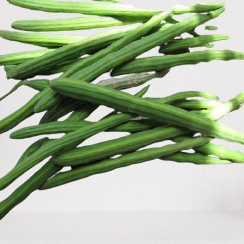 Healthy and Natural Fresh Green Drumsticks