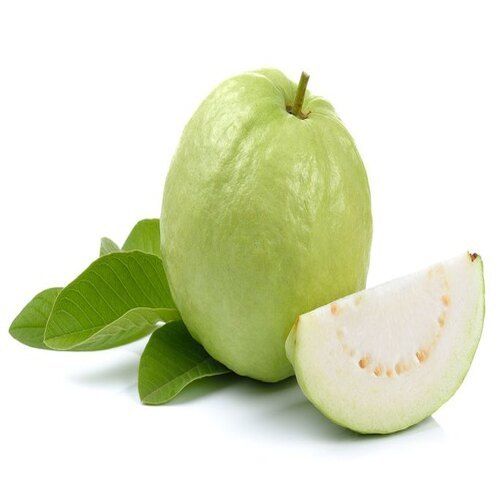 Healthy and Natural Fresh Green Guava