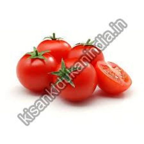 Hygienically Fresh Tomato