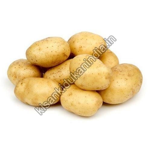 Round Organic Fresh Potato