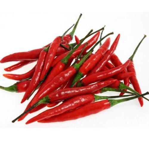 Healthy and Natural Organic Fresh Red Chilli - 9% Potassium, 3% Carbohydrate , Spicy Taste, Non Harmful Quality