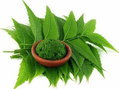 Herbal Green Neem Leaf Extract Dried Powder