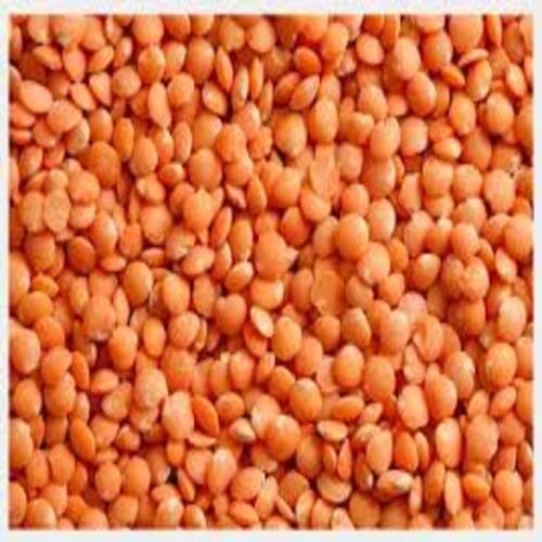 Healthy and Natural Dried Red Lentils
