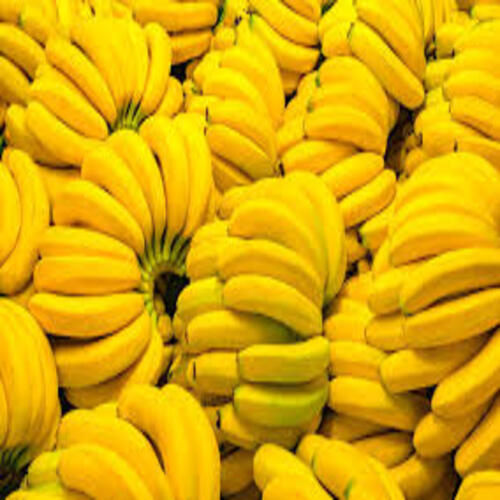 Healthy and Natural Organic Fresh Yellow Banana