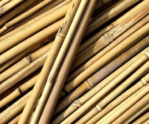 Brown Zafi Pure Plain Bamboo