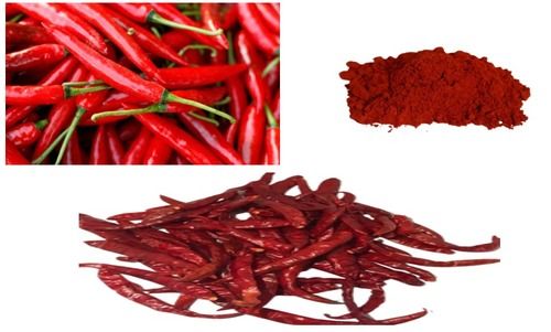 Red Chillies Indian Organically Cultivated Spices