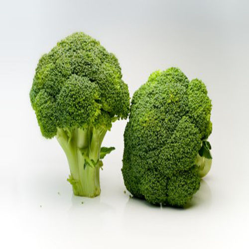 Healthy and Natural Organic Fresh Broccoli