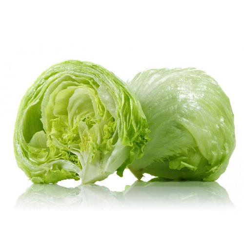 Healthy And Natural Organic Fresh Iceberg Lettuce Shelf Life: 5-10 Days