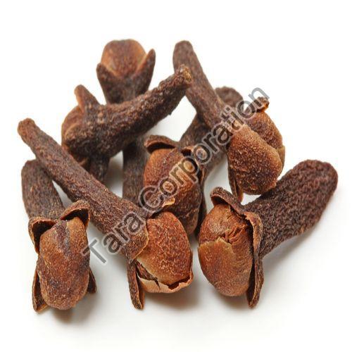 Healthy and Natural Brown Cloves Pods