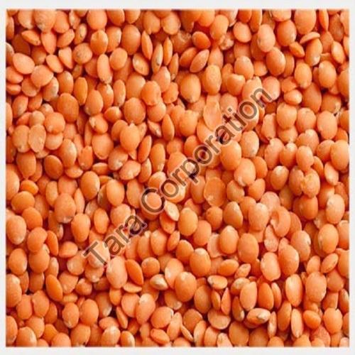 Healthy And Natural Dried Red Lentils