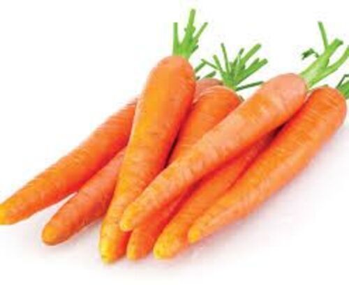 Natural Fresh Carrot For Food Preserving Compound: Cool & Dry Places