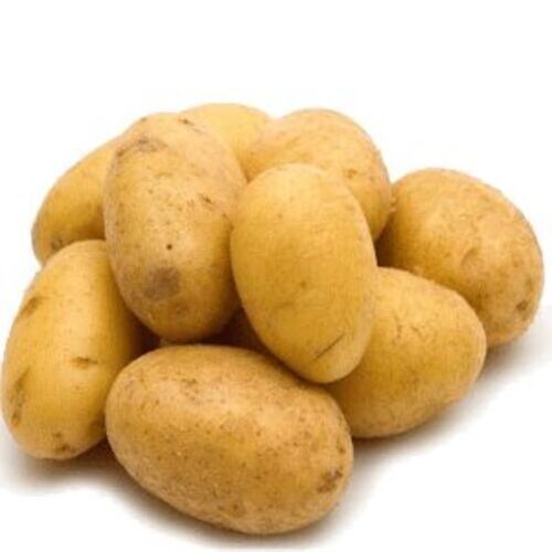 Natural Fresh Potato for Cooking