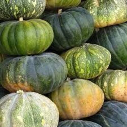 Natural Fresh Pumpkin For Cooking Preserving Compound: Cool & Dry Places