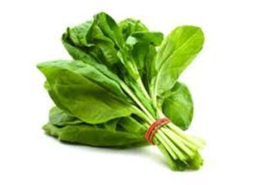 Natural Fresh Spinach For Cooking Preserving Compound: Cool & Dry Places