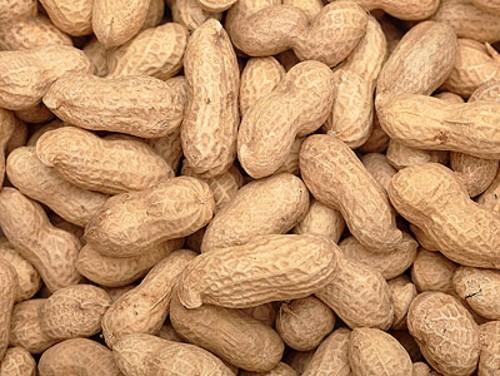 Brown Natural Shelled Groundnuts For Food