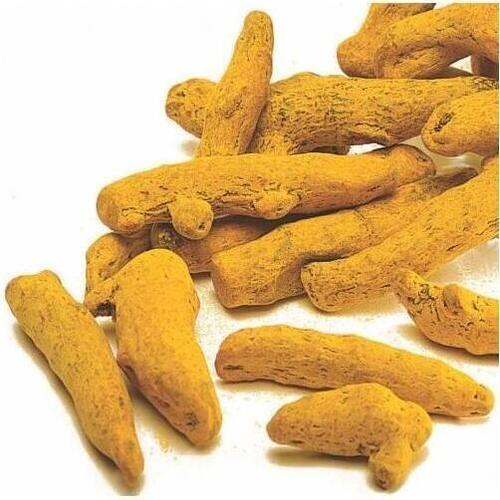 Turmeric Finger Best For Special Dishes Cooking