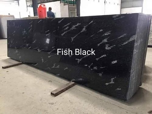 Fish Black Granite Slabs Size: Multisizes