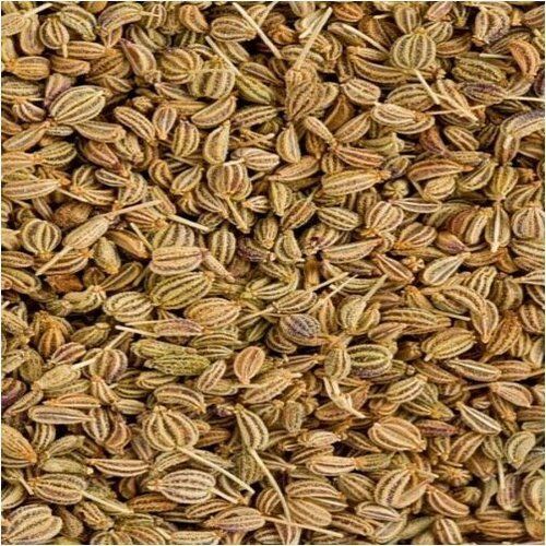 Healthy Ajwain Seed Premium Quality Indian Spices