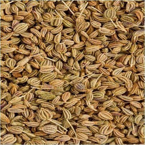 Brown Healthy Ajwain Seed Premium Quality Indian Spices