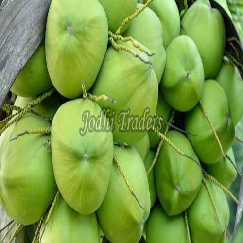 Healthy and Natural Green Tender Coconut