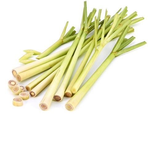 Green Natural Herbal Lemon Grass 