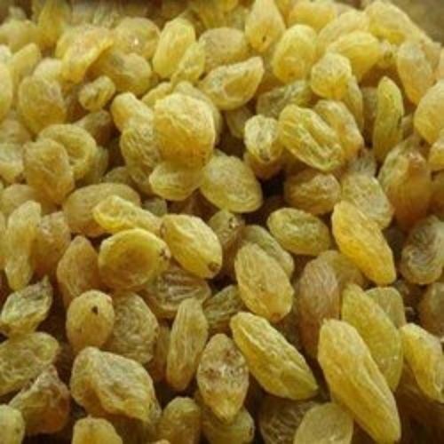 Golden Good Quality Dried Raisins (Kishmish)