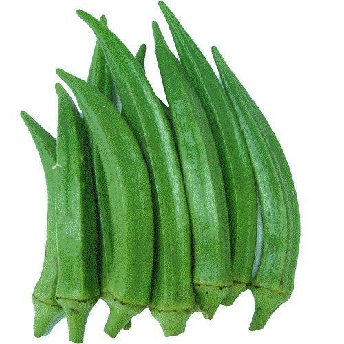 Healthy and Natural Fresh Green Lady Finger