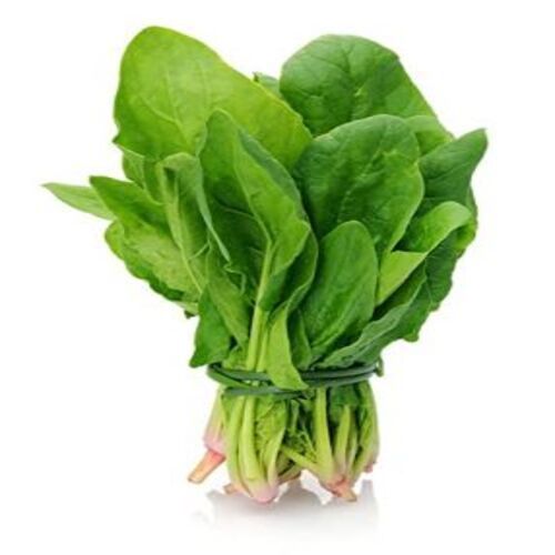 Healthy And Natural Fresh Green Spinach Leaves