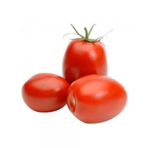 Round Healthy And Natural Fresh Organic Red Tomato